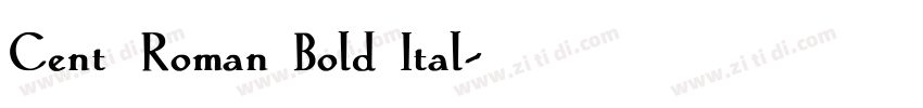 Cent_Roman Bold Ital字体转换